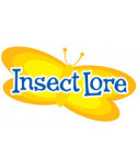 Insect Lore